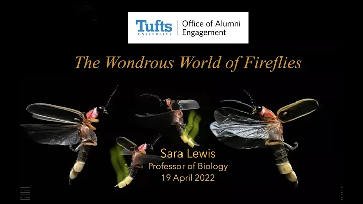 What Matters to Me and Why: Sara Lewis on The Wond...