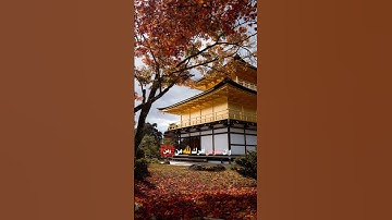 #آيات #اكسبلور #المصحف #تلاوة_خاشعة #حالات_واتس #القزابري #قران_كريم #لايك #الرحمن #ياسر