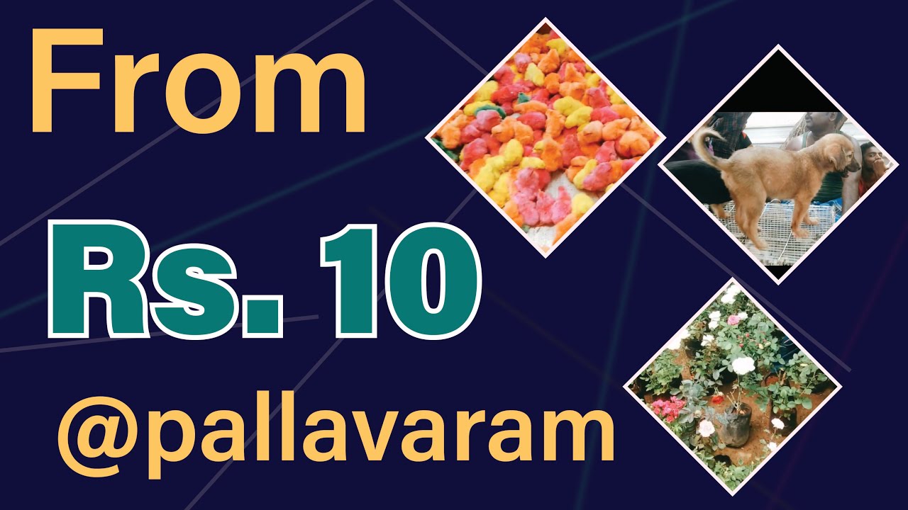 Pallavaram Friday Market Chennai 2022 பல்லாவரம் வெள்ளிக்கிழமை சந்தை