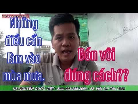 Video: PhânBón Cho Ao Cá - Mẹo Bón Phân Cho Cá Trong Ao