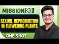 SEXUAL REPRODUCTION IN FLOWERING PLANTS in ONE SHOT | All Concepts, Tricks & PYQs | NEET 2026