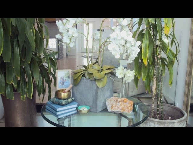 The Trick That Instantly Makes Your Coffee Table Look Like a Designer Decorated It | Rachael Ray Show