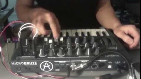 Microbrute patch LFO to gate in and PWM