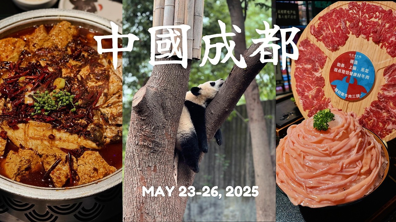 中國成都 VLOG｜賣萌熊貓🐼與麻辣美食🥵的古都之旅｜熊貓基地・寬窄巷子・錦里・東郊記憶・地道美食  2025