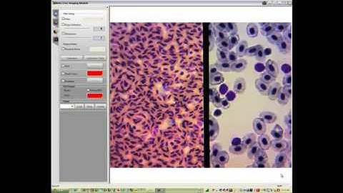 Swift Comsparison Microscope M3 F