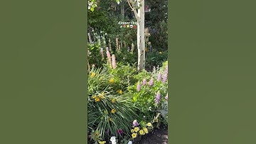 🥂🪩 || q: fav food? check desc! #algorithm #preppy #cleangirl #grwm #aesthetic #fyp #vlog #blowup