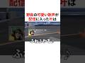 野良の可愛い歌声が配信に入った叶