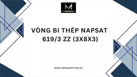 VÒNG BI THÉP 619/3 ZZ | TRONG 3MM x NGOÀI 8MM x DÀY 3MM