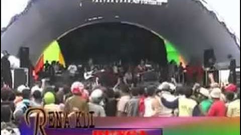 Rena kdi-bunga-monata