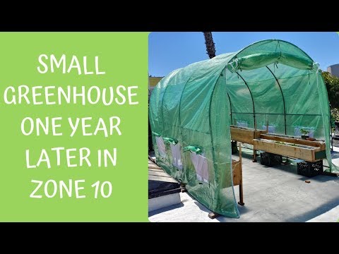 My Small Greenhouse 1 Year Later in Zone 10