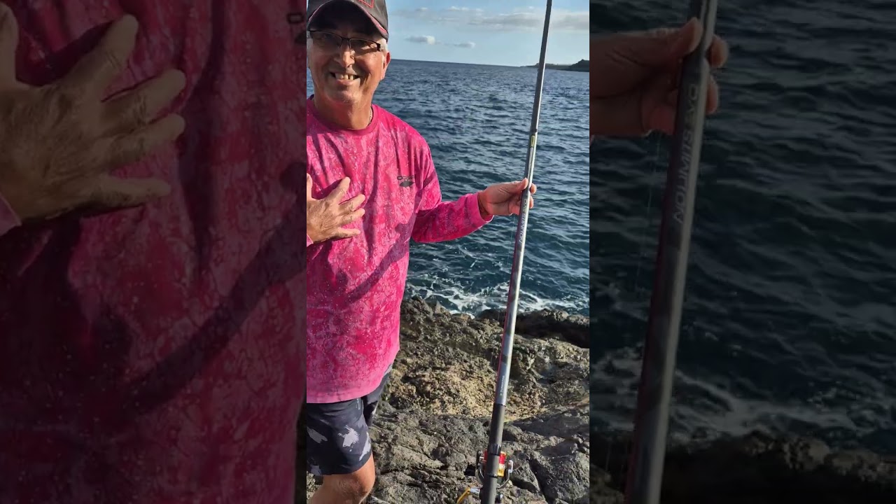 Nueva caña boloñesa de tubertini, LEVEL NO LIMITS EVO,