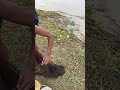 Real river fishing moments with an amazing fresh catch!