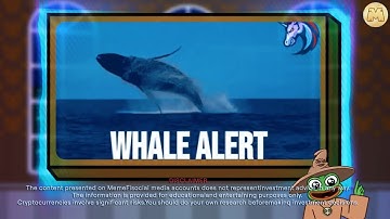 How To Avoid the Whale Trap! Spot Big Moves in Crypto | MemeFi