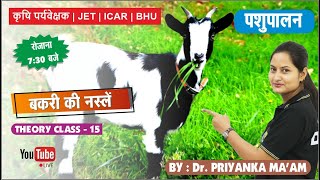 बकरी की नस्लें|| पशुपालन || JET COACHING || THEORY CLASS - 15 || JET/ICAR/BHU/SKNAU JOBNER ||