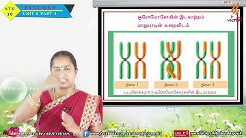 KITE Palakkad STD 10 Biology Chapter 6  Episode 32 (First bell Tamil medium - பஸ்ட் பெல்)