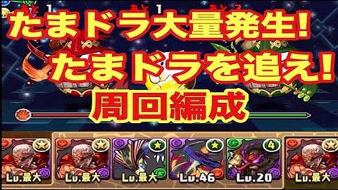 たまドラを追え たまドラ発見 たまドラを追え たまドラ発見