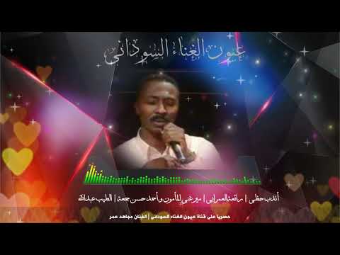 مجاهد عمر أندب حظى أم آمالى رائعة العمرابى