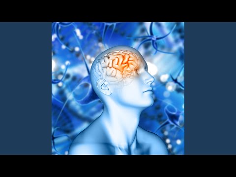 Ver Cognitive Serenity en YouTube