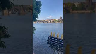 Прага, Влтава, Пингвин