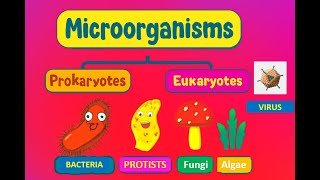 Classification of Microorganisms | Microbiology Lecture