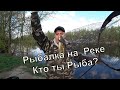 Рыбалка на Диком течении. Поймал рогатую рыбу. Отдай фидер.