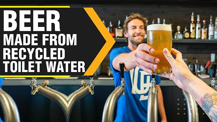 What is ‘NewBrew’? A beer made from urine | WION Originals - DayDayNews