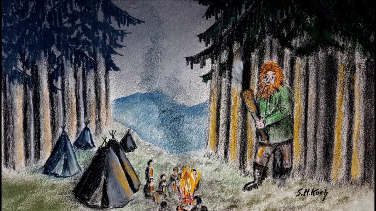 Hohe Tannen Weisen Die Sterne