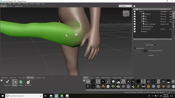 Mudbox 14 08 Adjust a Joints Region of Influence