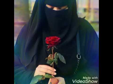 Senaa Bareeduu Qabtuu Barbdaa Kutaa10 Faa Hordafaa