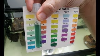 Testing TURTLE Tank WATER | How To| Nitrate Ammonia Nitrite PH???? What does it mean.