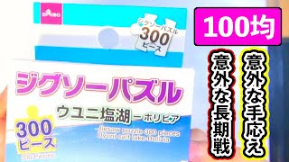 【100均おもちゃ】ジグソーパズル　ウユニ塩湖-ボリビア-に挑戦!!【300ピース】