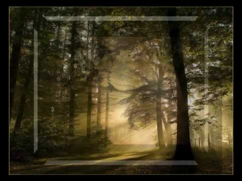 Balazs Feco Érints meg