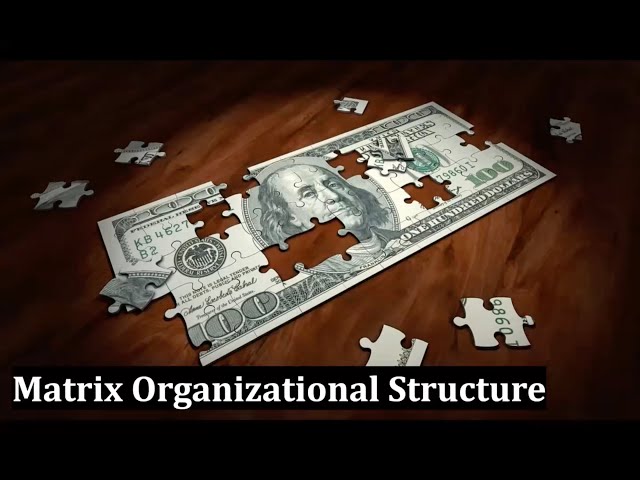 Matrix Organizational Structure | A matrix organiz...