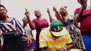 Malaya - Robin Man (kasuku)  Visuals