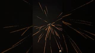 Penta Plus Sky Shot 🎆 सिर्फ ₹22 में! Cheapest &amp; Best Firecracker 2025