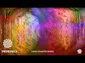 Capture de la vidéo Protonica - Symmetry (Hatikwa Remix)