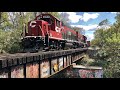 100s Of Turkey Vultures On Railroad Trestle With Train Coming!  New Locomotives Cross Railway Bridge