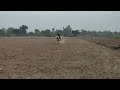 Wali Alam Horse Riding In Lucknow | Lucknow Horse Riding Club