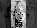 حذاء ابي امام الباب هو الامان الوحيد في الحياه