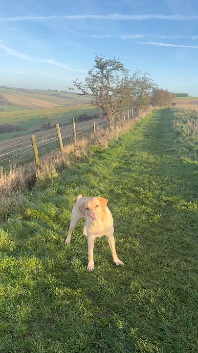 The greatest sin of all is idleness