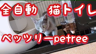 【ロシアンブルー】全自動猫トイレ　ペッツリーPETREE【russianblue】