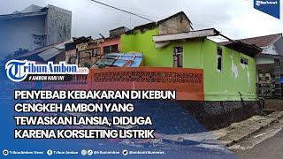 Penyebab Kebakaran di Kebun Cengkeh Ambon yang Tewaskan Lansia, Diduga Karena Korsleting Listrik