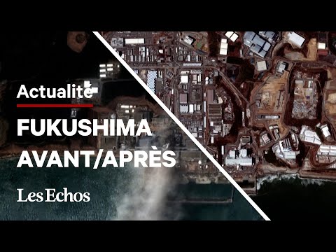 Vidéo: Impact De La Faune Du Pacifique Sur Le Séisme Et Le Tsunami Au Japon - Réseau Matador