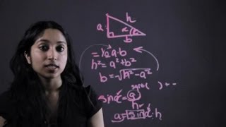 How to Use a Calculator to Compute the Area of a Triangle Using the Hypote... : Essential Math Tips