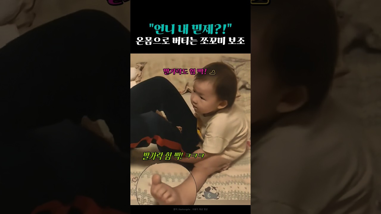 앙증맞은 발가락까지 힘을 꽉 주는 쪼꼬미 보조 🐾 ㅋㅋㅋ
