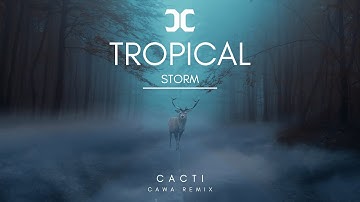 CaWa, Cacti - Tropical Storm (Remix)