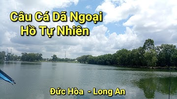 Được Ngày Đi Câu Cá Dã Ngoại Ở Hồ Tự Nhiên - Nhưng Nó Lạ Lắm