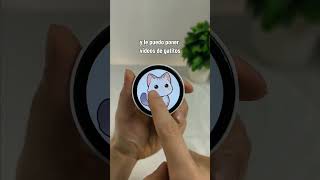 Mi gadget favorito #PioresSituaçõesSemArCondicionado #pin #pindigital #gatitos con Este pin digital