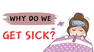 Why Do We Get Sick? How To Boost Your Immune System?