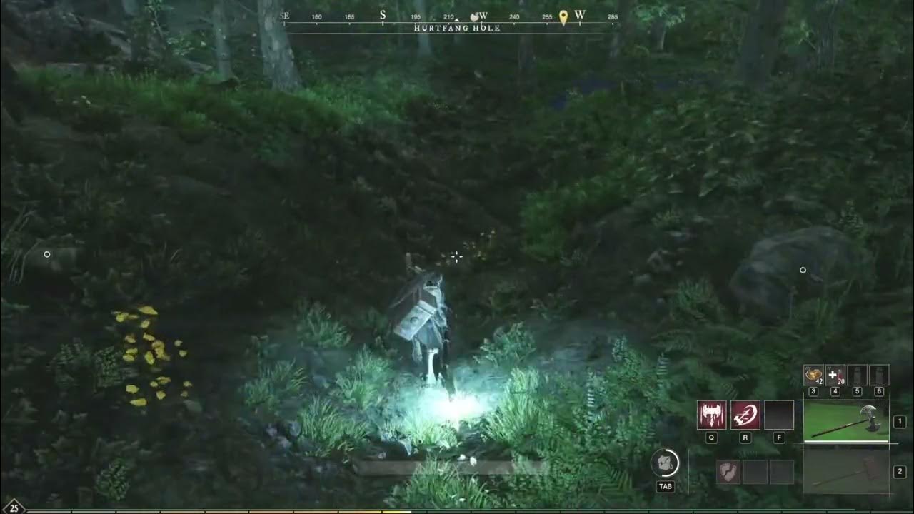 New World Hacks & Cheats YouTube